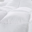 Royal Comfort Goose Feather & Down Quilt - King Single-1951134842292932609