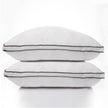 Casa Decor Silk Blend Pillow - Twin Pack-1951134818171490306