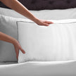 Casa Decor Silk Blend Pillow - Twin Pack-1951134818171490307