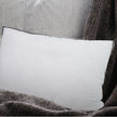 Casa Decor Silk Blend Pillow - Twin Pack-1951134818171490311