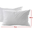 Casa Decor 50% Duck Feather 50% Duck Down Pillow - Single Pack-1951134818351845379