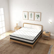 Osteopedic Euro Top Pocket Spring Mattress - King-1951134905584979974