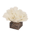 CAC10709-KM Coral Marble Sculpture - Beige
