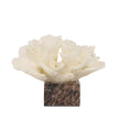 CAC10709-KM Coral Marble Sculpture - Beige
