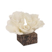 CAC10709-KM Coral Marble Sculpture - Beige