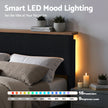 Artiss Double Bed Frame Upholstered Adjustable Headboard Mood Lighting Heavy Duty Black Velvet