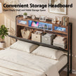 Artiss Double Bed Frame with LED Lights Storage Headboard 2 USB 2 AC Outlets Charging Station