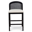 CBS10565-LJ Black Elm Barstool - Dawn Beige