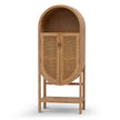 CDT8138-NI 65.5cm Rattan Door Cabinet - Natural