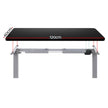 Artiss Standing Desk Motorised 120CM Black