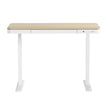 Artiss Standing Desk Motorised Electric Dual Motor Draw 120CM Oak
