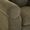 CLC12570-IG Armchair - Kaitoke Green