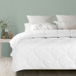DreamZ Quilt Duvet Doona Microfibre Super King-2006733013827850246