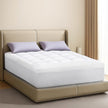 Dreamz Mattress Topper Pillowtop Cover Bed Protector Double-2018816782344785926