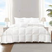 DreamZ Duck Down Feather Quilt 200GSM King Single-2006733297375383559