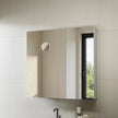 Levede Bathroom Mirror Cabinet 75CM-2006732716598497287