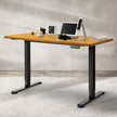 Levede Motorised Standing Desk Adjustable 120cm Natural 800x 1.5MM-2006733290450587655