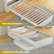 Giselle Single Mattress 5-zone Pocket Spring Mattresses with Artiss Wooden Storage Bed Frame Set