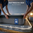 Levitex Double Mattress 33 cm 7-Zone Pocket Spring 8.0 Extra Firm with Dual-Row Edge Support & Breathable Knit Cover