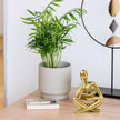 Abstract Reading Thinker Statue for Home Decor, Modern Resin Sculpture Figurine for Bookshelf, Desk & Living Room (Gold)