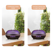 550ML Wood-Grain Aroma Diffuser and Humidifier with Bluetooth Speaker, 7-Color LED Night Light, Remote Control, Timer, and Auto Shut-Off – Light Wood