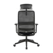 Carlie High Back Molded Foam Seat Ergonomic Office Chair In Black