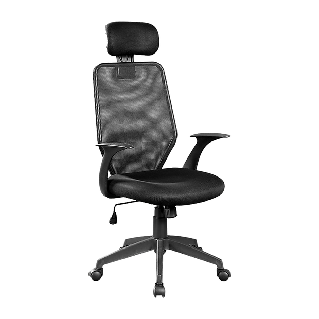 Ergonomic Mesh Office Chair
