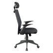Ergonomic Mesh Office Chair
