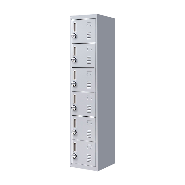 6-Door Locker for Office Gym Shed School Home Storage