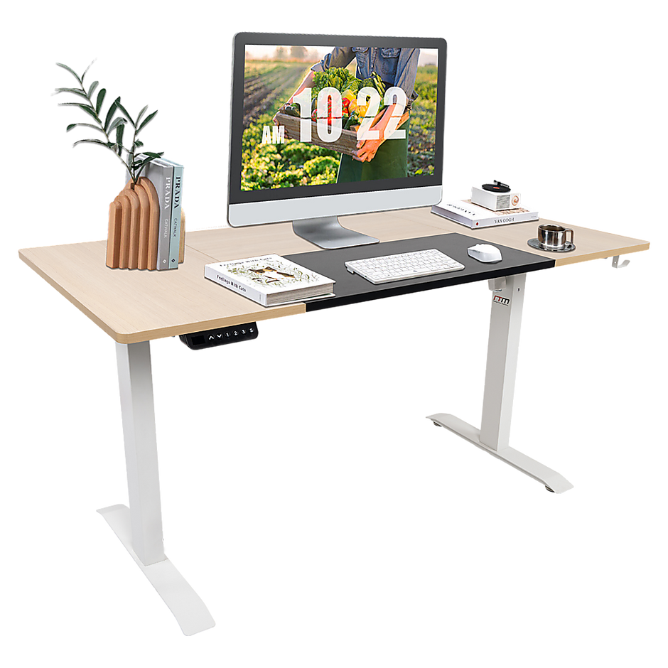 Standing Desk Electric Motorised Computer Desk Height Adjustable Sit Stand Table