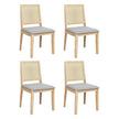 Levede 4X Cane Dining Chair Rattan Armless Seat-2006732734558507008