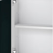 Levede Bathroom Mirror Cabinet Storage Cupboard Shelf-2011971103945265155