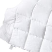 DreamZ 200GSM All Season Bamboo Winter King-2018816749369167877